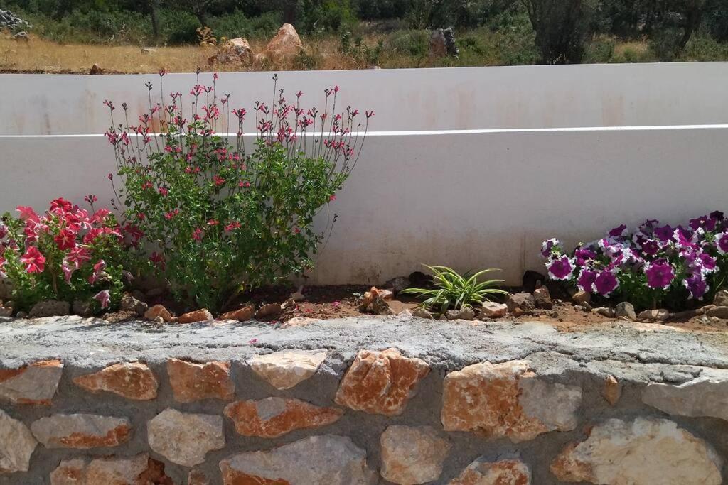 Smailis Apartment 1 Koroni  المظهر الخارجي الصورة